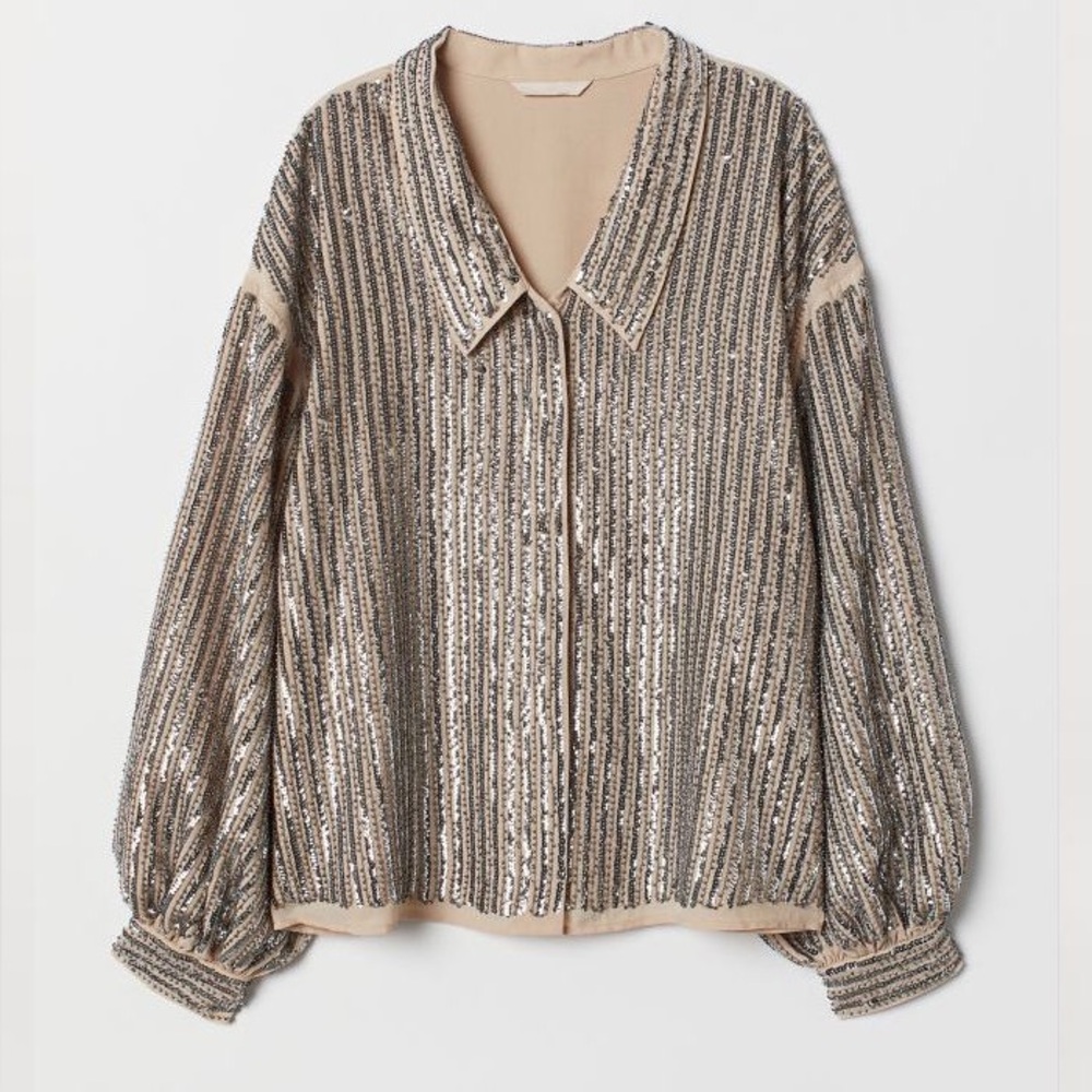 ZARA Sequin Embellished Long Sleeve Top
